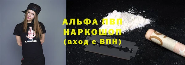 СК Медвежьегорск