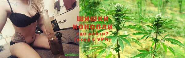 СК Медвежьегорск