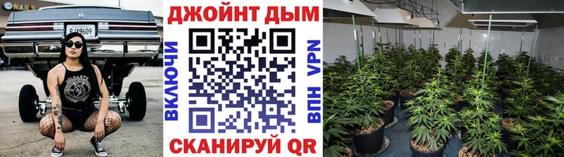 Конопля план Елизаветинская